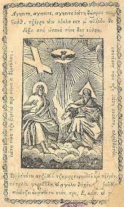 Attēlu rezultāti vaicājumam “Xylographa paralella”