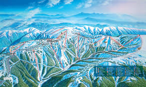 Image result for Hotham Bowls Club