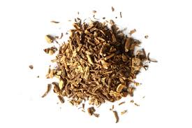 Attēlu rezultāti vaicājumam “Angelica archangelica fruit”