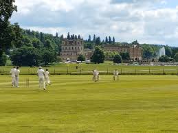 Image result for Redlynch and Hale Cricket Club