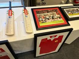 Image result for Wolviston Cricket Club