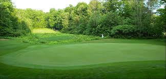 Image result for The Alt Golf Club