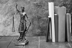 Image result for Baxter AMICUS