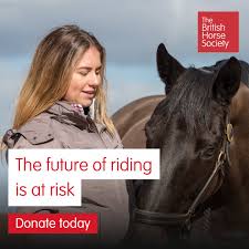 Image result for British Horse Society