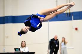Image result for Thornton Sport Gymnastics