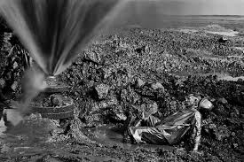 Image result for sebastiao salgado
