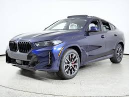 Image result for BMW X6