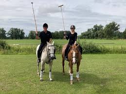 Image result for Cambridge and Newmarket Polo Club