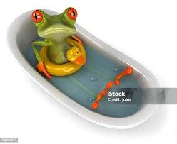 Image result for Bath Amphibians