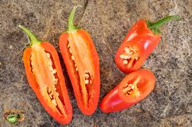 Afbeeldingsresultaat voor biker billy jalapeno hot pepper