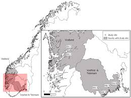 Attēlu rezultāti vaicājumam “Blepharidopterus angulatus imago”