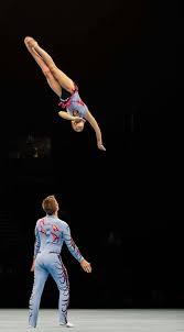 Image result for Elements Acro