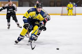 Image result for New Milton Hockey Club