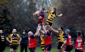 Image result for Ely Rugby Union Football Club