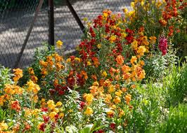 Image result for Frome Selwood Bowls Club