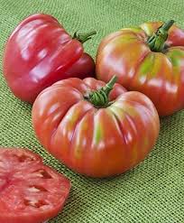 Afbeeldingsresultaat voor northern lights tomato