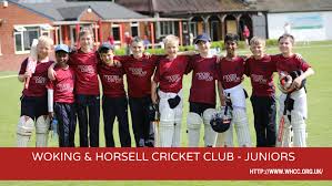 Image result for Woking and Horsell Cricket Club