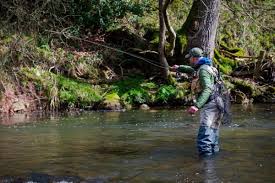 Image result for Bathampton Angling Association