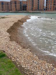 Image result for Shoreham Sailing Club