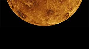 Image result for venus