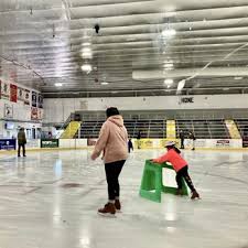 Image result for Havering Skater Hockey Club