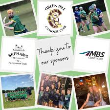 Image result for Green Isle Camogie Club - Players Wanted!