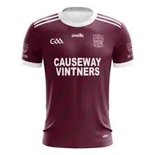 Image result for Causeway Hurling Club
