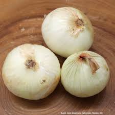 Image result for Zwiebeln