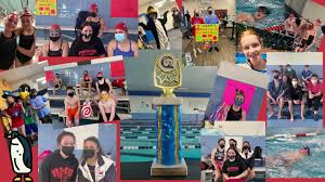 Image result for Grimsby Penguins Swimming Club