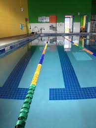 Image result for Loftus Dolphins Swimming Club