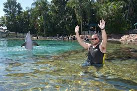 Image result for Discover Swimming