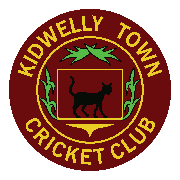 Image result for Bronwydd Cricket Club