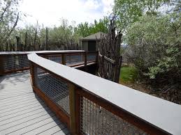 「船越 バカとテストと召喚獣」の画像検索結果