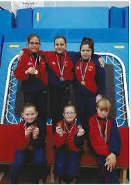 Image result for Haverfordwest Gymnastics Club