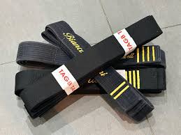 Image result for Newbury TAGB Tae Kwon-Do (Juniors)