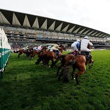 Image result for Epsom Oaks Netball Club