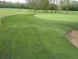 Image result for Thorpe Wood Golf Club