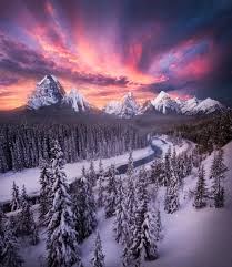 Résultat de recherche d'images pour "morant's curve"