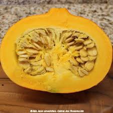 Image result for Kürbis