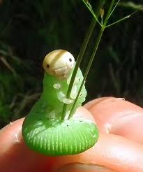 Attēlu rezultāti vaicājumam “Cimbex femoratus larva”