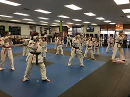 Image result for IXL Martial Arts