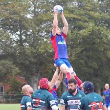 Image result for Totnes Rugby Club