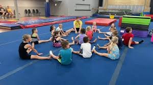 Image result for Wyre Forest Gymnastic School
