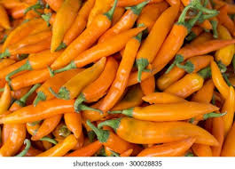 Afbeeldingsresultaat voor thai yellow hot pepper