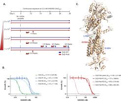 Attēlu rezultāti vaicājumam “Diderma ochraceum plasmodium”