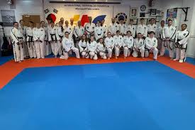 Image result for Utf Taekwondo Cymru Cardiff