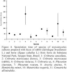 Attēlu rezultāti vaicājumam “Cribraria costata spores”