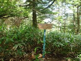 Attēlu rezultāti vaicājumam “Ena montana”