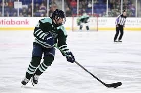 Image result for Fleet Hockey Club