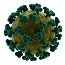 Image result for фотография вируса вич